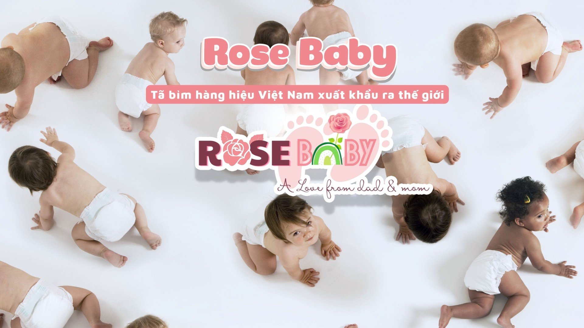 Thùng tã quần size M 2 banner bim rosebaby